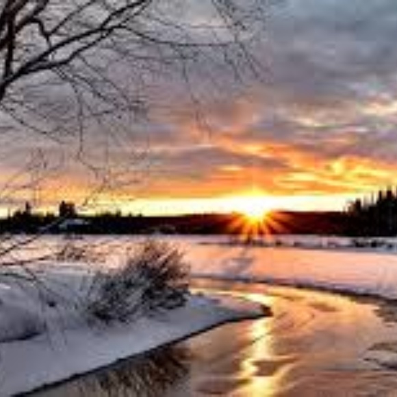 Meet your Posher, Harriet - Picture 2 of 3